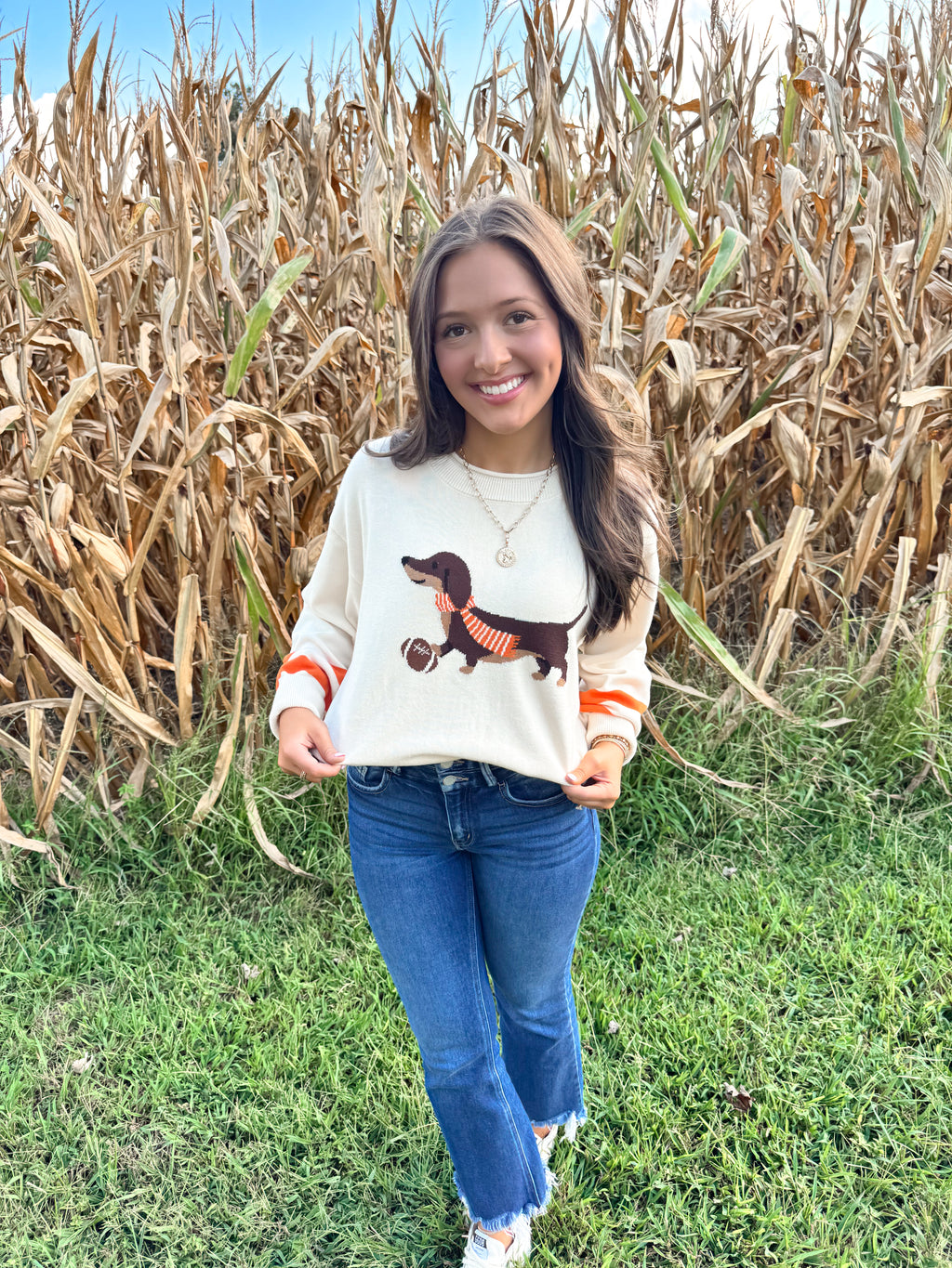 Weiner Dog Vols Sweater