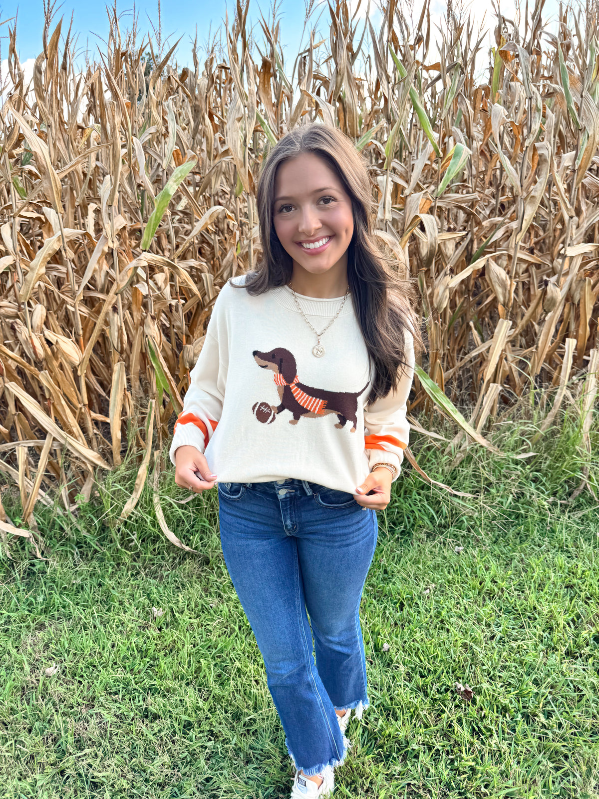 Weiner Dog Vols Sweater