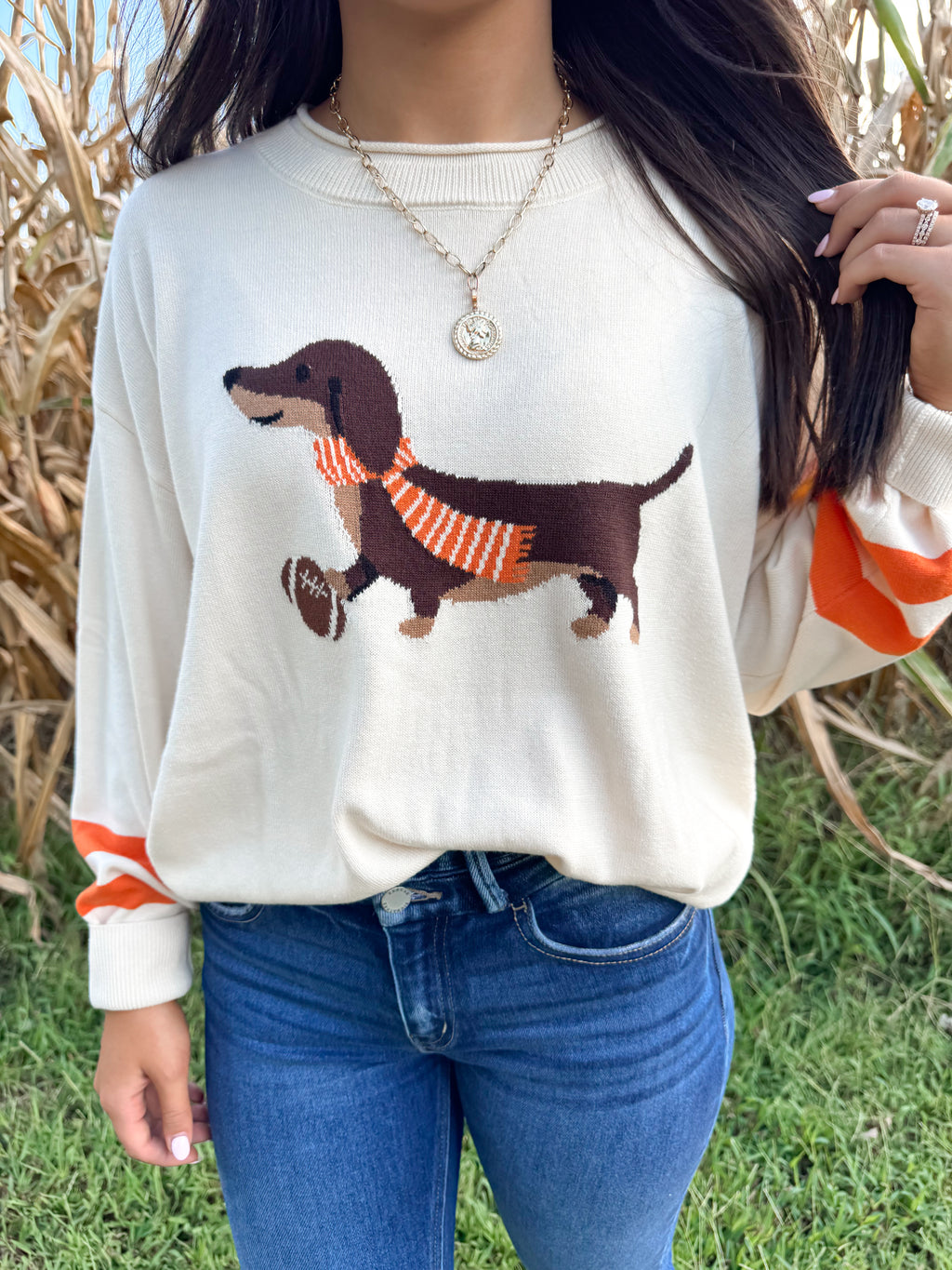 Weiner Dog Vols Sweater