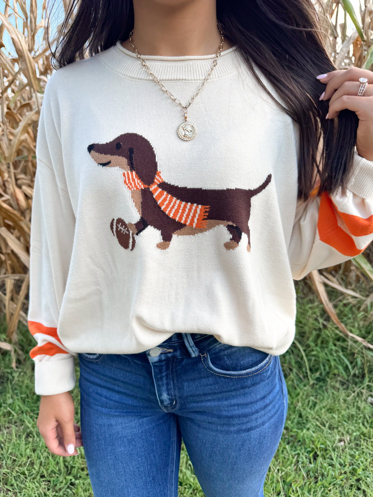 Weiner Dog Vols Sweater